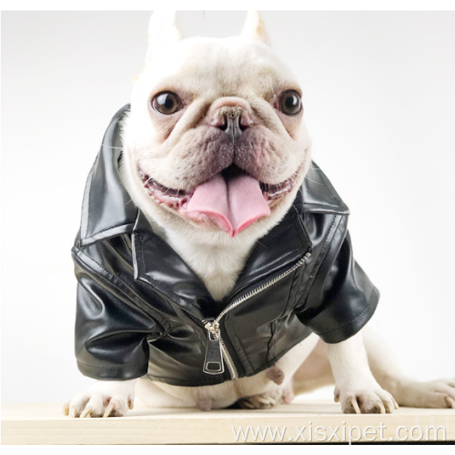 small pet french bulldog fur coat luxury fashions